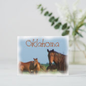 Carte Postale Oklahoma (Debout devant)