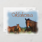 Carte Postale Oklahoma (Devant / Derrière)