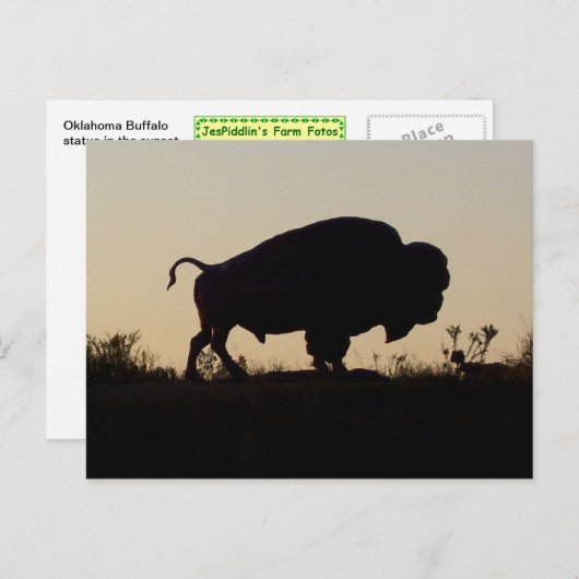 Carte Postale Oklahoma Buffalo (Devant / Derrière)