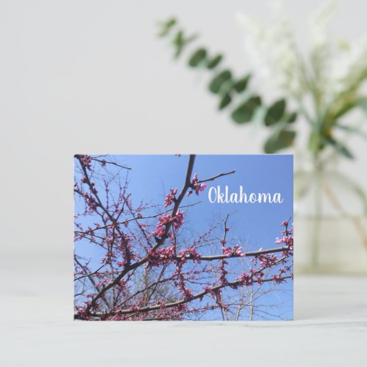 Carte postale Oklahoma Redbud (Debout devant)