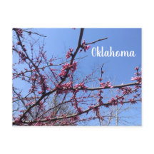 Carte postale Oklahoma Redbud