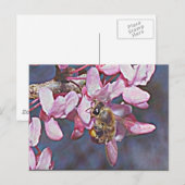 Carte Postale Oklahoma Redbud (Devant / Derrière)