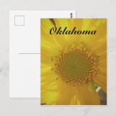 Carte postale Oklahoma Sunflower (Devant / Derrière)