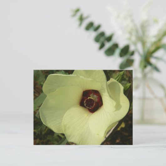 Carte postale Okra Bloom (Debout devant)