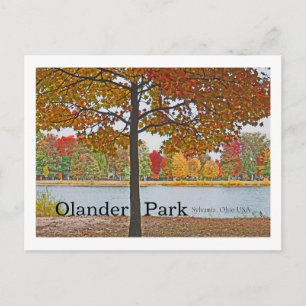 Carte Postale Olander Park, Sylvania, Ohio USA/Automne Colonnes