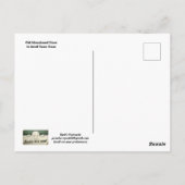 Carte Postale Old Abandoned Store Postcard (Dos)