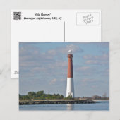 Carte Postale "Old Barney" Barnegat Lighthouse LBI NJ (Devant / Derrière)