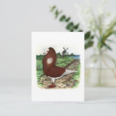 Carte Postale Old Dutch Capuchine (Debout devant)
