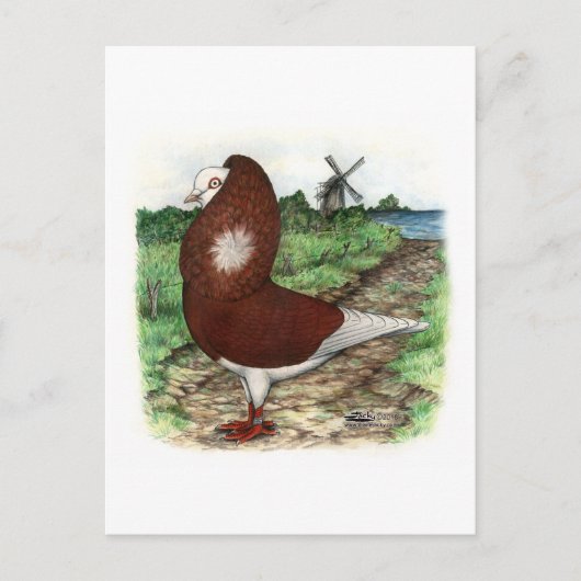 Carte Postale Old Dutch Capuchine (Devant)