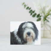 Carte Postale Old English Sheepdog (Debout devant)