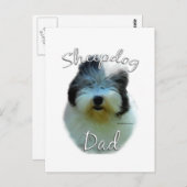 Carte Postale Old English Sheepdog (Devant / Derrière)
