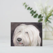 Carte postale Old English Sheepdog Art (Debout devant)