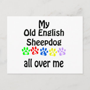 Carte Postale Old English Sheepdog Walks Design
