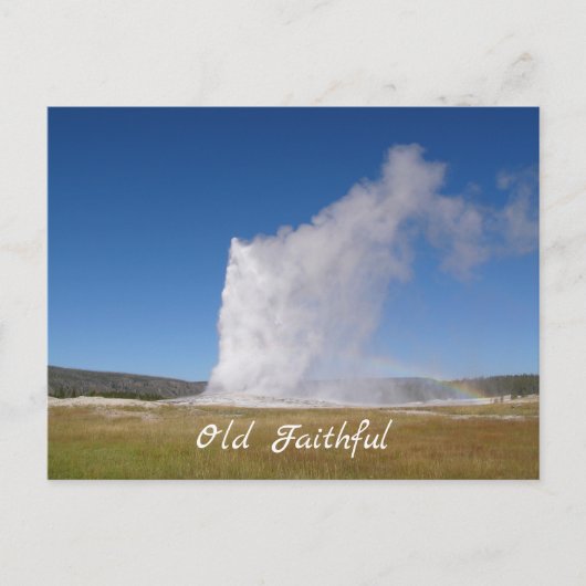 Carte postale Old Faithful (Devant)
