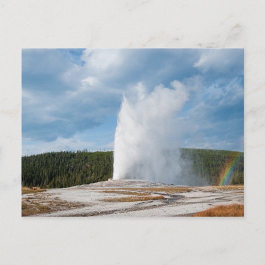 Carte Postale Old Faithful Geyser (Devant)