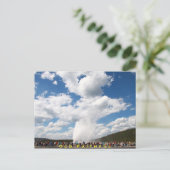 Carte postale Old Faithful Geyser :: Yellowstone N (Debout devant)