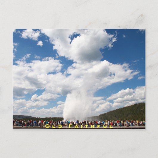 Carte postale Old Faithful Geyser :: Yellowstone N (Devant)