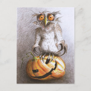 Carte postale Old Halloween Dracula Owl Art