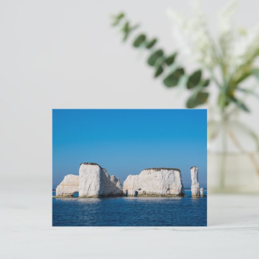 Carte Postale Old Harry Rocks Dorset (Debout devant)