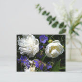 Carte postale Old Masters Garden (Debout devant)