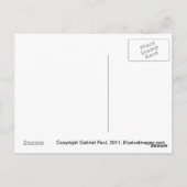 Carte postale Old Masters Garden (Dos)