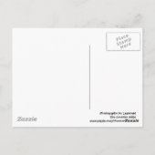 Carte postale Old School House (Dos)