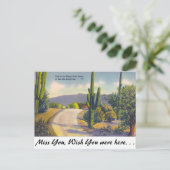 Carte Postale Ole Sud-Ouest (Debout devant)