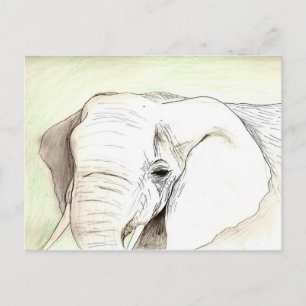 Carte Postale Olifant