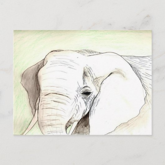 Carte Postale Olifant (Devant)
