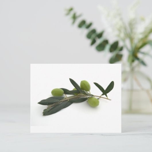 Carte Postale Olive (Debout devant)