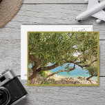 Carte Postale Olive de la mer Méditerranée<br><div class="desc">La nature sauvage de la mer Méditerranée.</div>