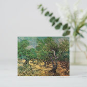 Carte Postale Olive Grove par Vincent van Gogh (Debout devant)