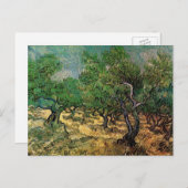 Carte Postale Olive Grove par Vincent van Gogh (Devant / Derrière)