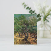 Carte Postale Olive Grove par Vincent van Gogh (Debout devant)
