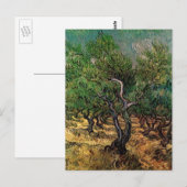 Carte Postale Olive Grove par Vincent van Gogh (Devant / Derrière)