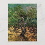 Carte Postale Olive Grove par Vincent van Gogh<br><div class="desc">Olive Grove de Vincent van Gogh est un post impressionnisme d'art vintage peinture de paysage nature. Un verger d'arbres fruitiers sur une ferme en été. C'est l'un des plus d'une douzaine de paysages d'oliviers que van Gogh peignait alors qu'il vivait dans le sud de la France. À propos de l'artiste...</div>