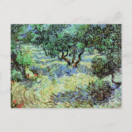 Carte Postale Olive Grove, Vincent van Gogh (Devant)