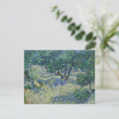 Carte Postale Olive Orchard par van Gogh (Debout devant)