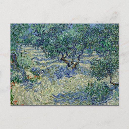 Carte Postale Olive Orchard par van Gogh (Devant)