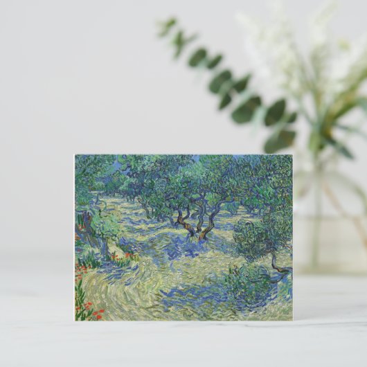 Carte Postale Olive Orchard, Vincent van Gogh (Debout devant)