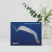 Carte postale Olive Sea Snake (Debout devant)