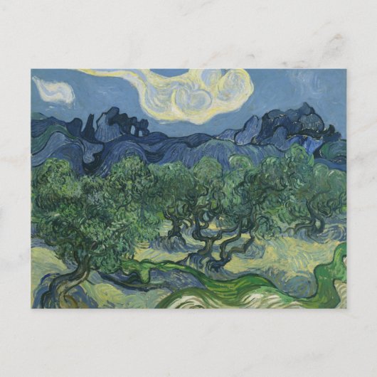 Carte postale Olive Trees (Devant)