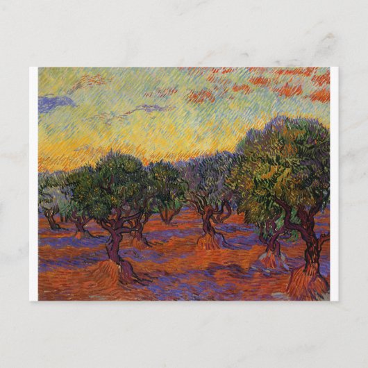 Carte Postale Olive Trees - Vincent Van Gogh (Devant)