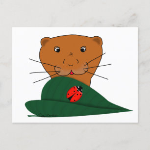 Carte Postale Oliver La Loutre Étudie une coccinelle