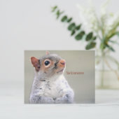 Carte Postale Oliver Twist Squirrel (Debout devant)