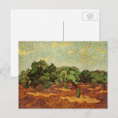 Carte Postale Oliveraie, ciel bleu pâle de Vincent van Gogh (Devant / Derrière)