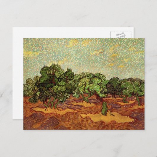 Carte Postale Oliveraie, ciel bleu pâle par Vincent van Gogh (Devant / Derrière)