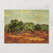 Carte Postale Oliveraie, ciel bleu pâle par Vincent van Gogh (Devant)