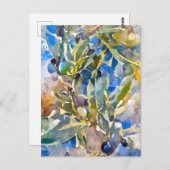 Carte Postale Olives aquarelles sur la branche d'olives. Peint.  (Devant / Derrière)