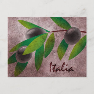 Carte Postale Olives italiennes